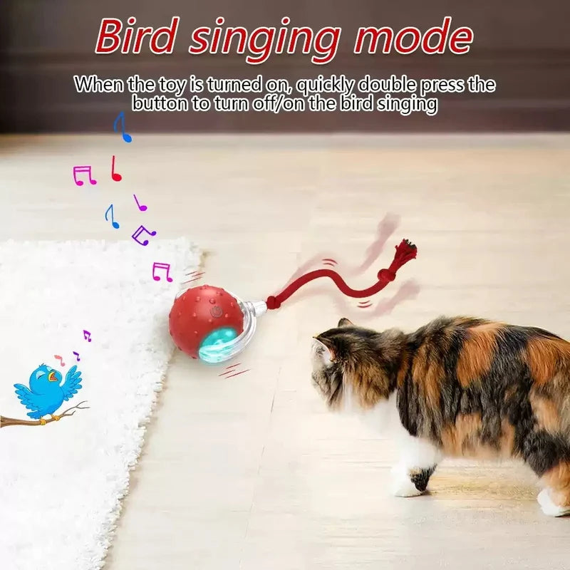 Interactive Cat Toy Ball