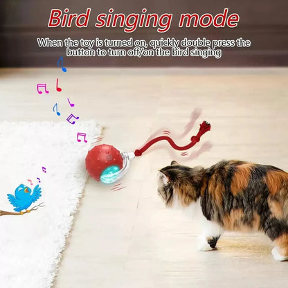 Interactive Cat Toy Ball