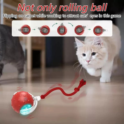 Interactive Cat Toy Ball